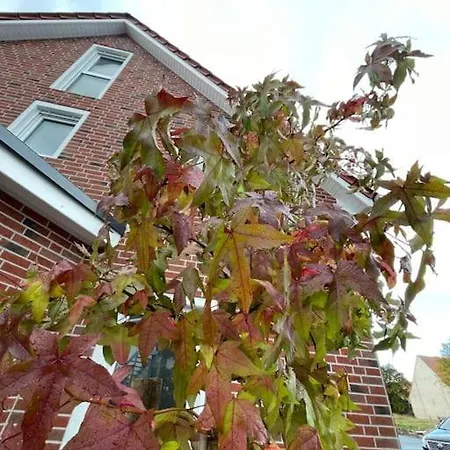 Workation Luxury Nature House , 10 Min Vw , Relax From Work Mit Terrasse, Balkon Und Parkplatz 아파트 *